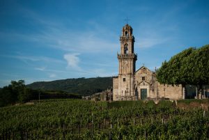 vineyard-1333114_960_720